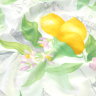 Купить Постельное белье Cotton Dreams. Дизайн Lemon & Flowers  оптом
